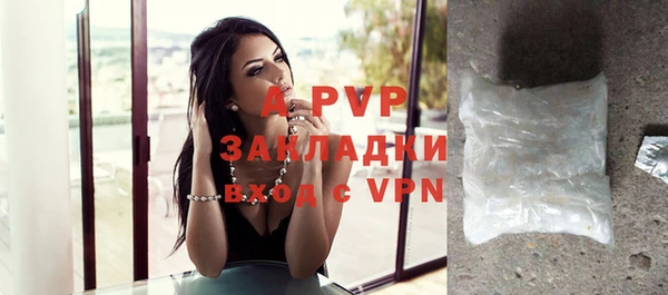 сатива Белокуриха