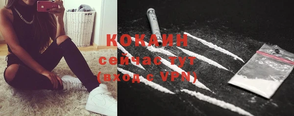 сатива Белокуриха