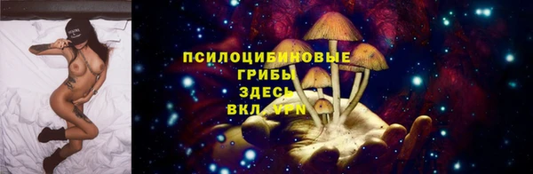 сатива Белокуриха