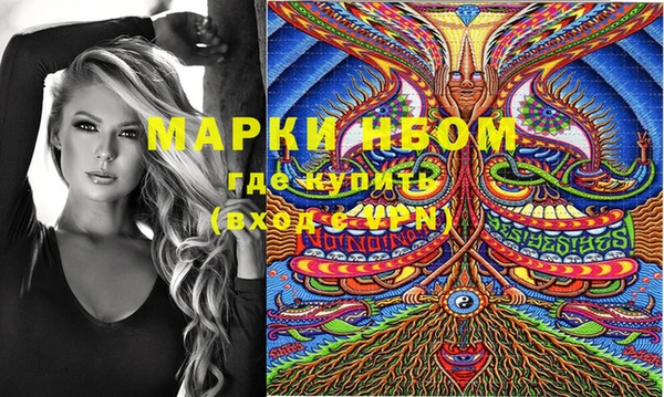 сатива Белокуриха