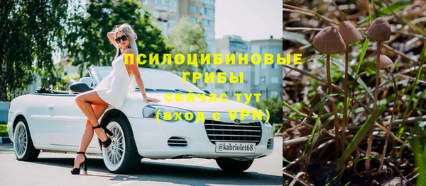 амф Беломорск