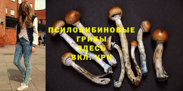 амф Беломорск