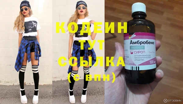 сатива Белокуриха