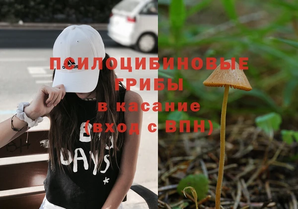 дживик Белоозёрский