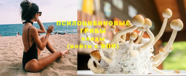 дживик Белоозёрский