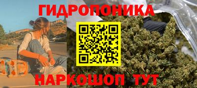 бошки Гусев